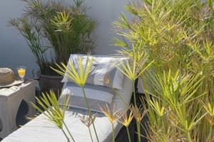 thumbnail: Terrace/patio
