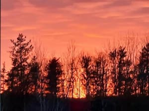 thumbnail: View from property