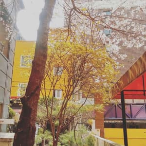 thumbnail: Courtyard