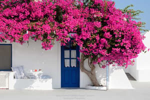 thumbnail: Terrace/patio