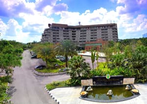thumbnail: Aerial view