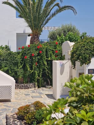 thumbnail: Terrace/patio