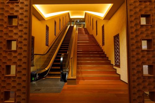 479376031.jpg