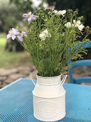 thumbnail: Garden view