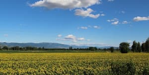 thumbnail: Land view from property