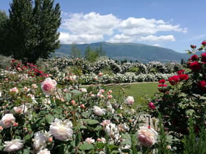 thumbnail: Garden