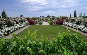 thumbnail: Garden