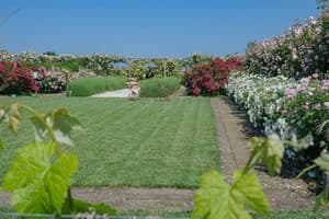 thumbnail: Garden