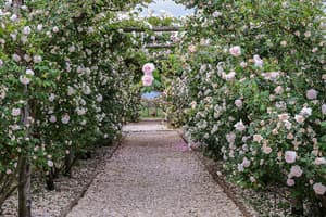 thumbnail: Garden