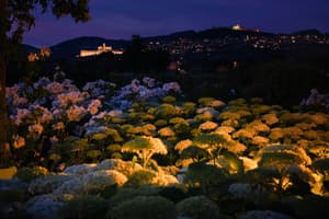 thumbnail: Garden
