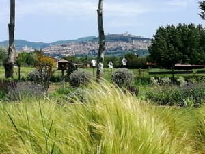thumbnail: Garden