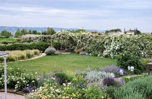 thumbnail: Garden