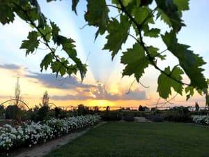 thumbnail: Garden