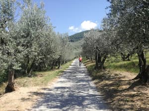 thumbnail: Bicycling