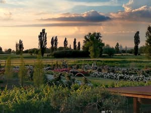 thumbnail: Garden