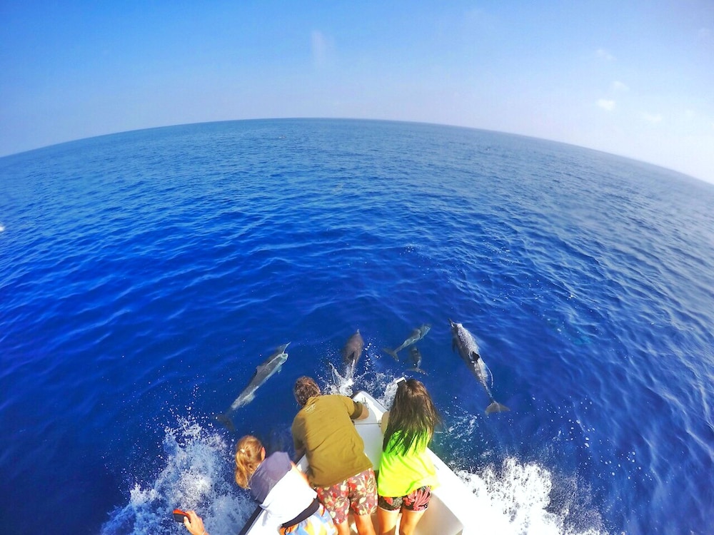 Hunting