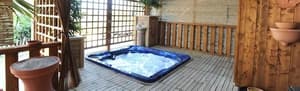 thumbnail: Indoor spa tub