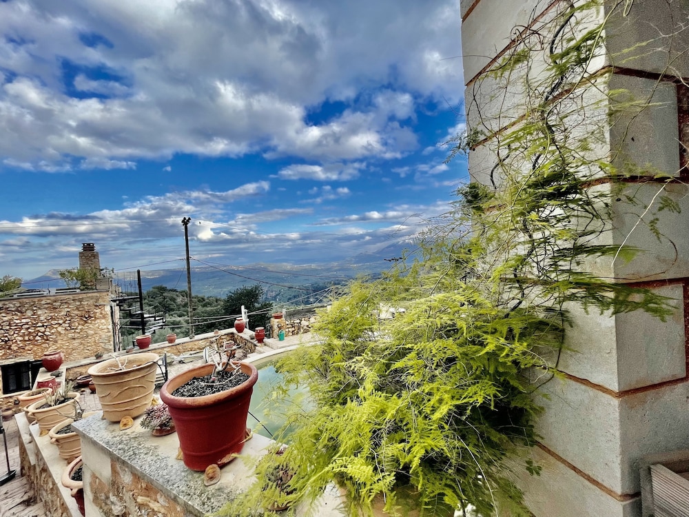 Courtyard view