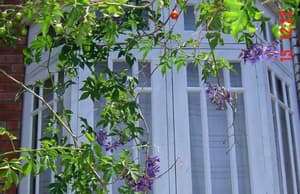 thumbnail: Exterior