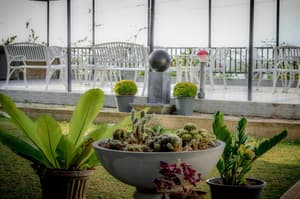 thumbnail: Garden