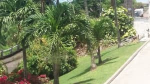 thumbnail: Exterior