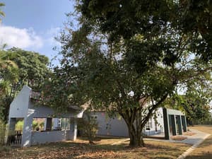 thumbnail: Exterior