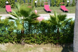 thumbnail: Garden view