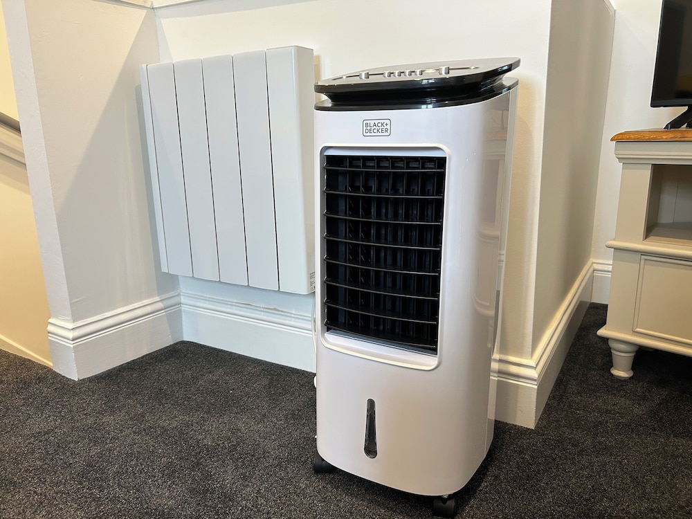 Fan