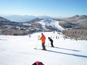 thumbnail: Skiing