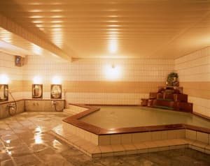 thumbnail: Indoor spa tub