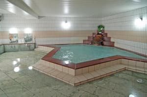 thumbnail: Indoor spa tub
