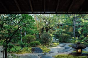 thumbnail: Japanese garden