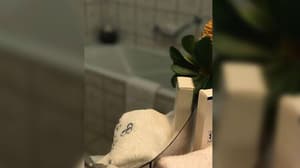 thumbnail: Bathroom amenities