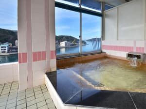 thumbnail: Indoor spa tub