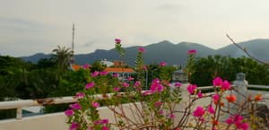 thumbnail: Garden view