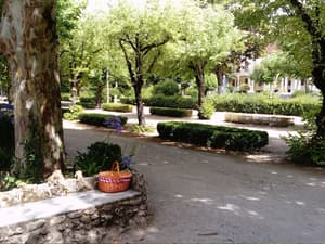 thumbnail: Property grounds