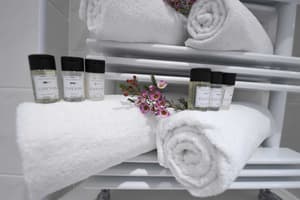 thumbnail: Bathroom amenities