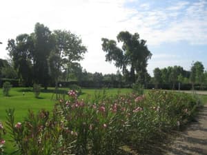thumbnail: 470031137.jpg