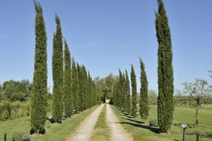 thumbnail: Property grounds