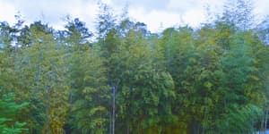 thumbnail: View from property