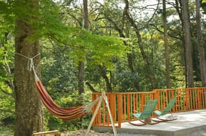 thumbnail: BBQ/picnic area