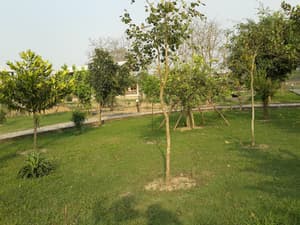 thumbnail: View from property