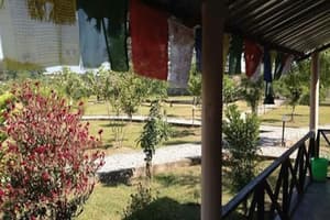 thumbnail: Terrace/patio