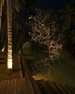thumbnail: Outdoor pool