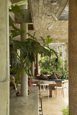 thumbnail: Terrace/patio