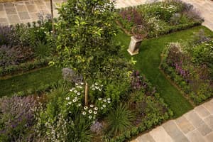 thumbnail: Garden