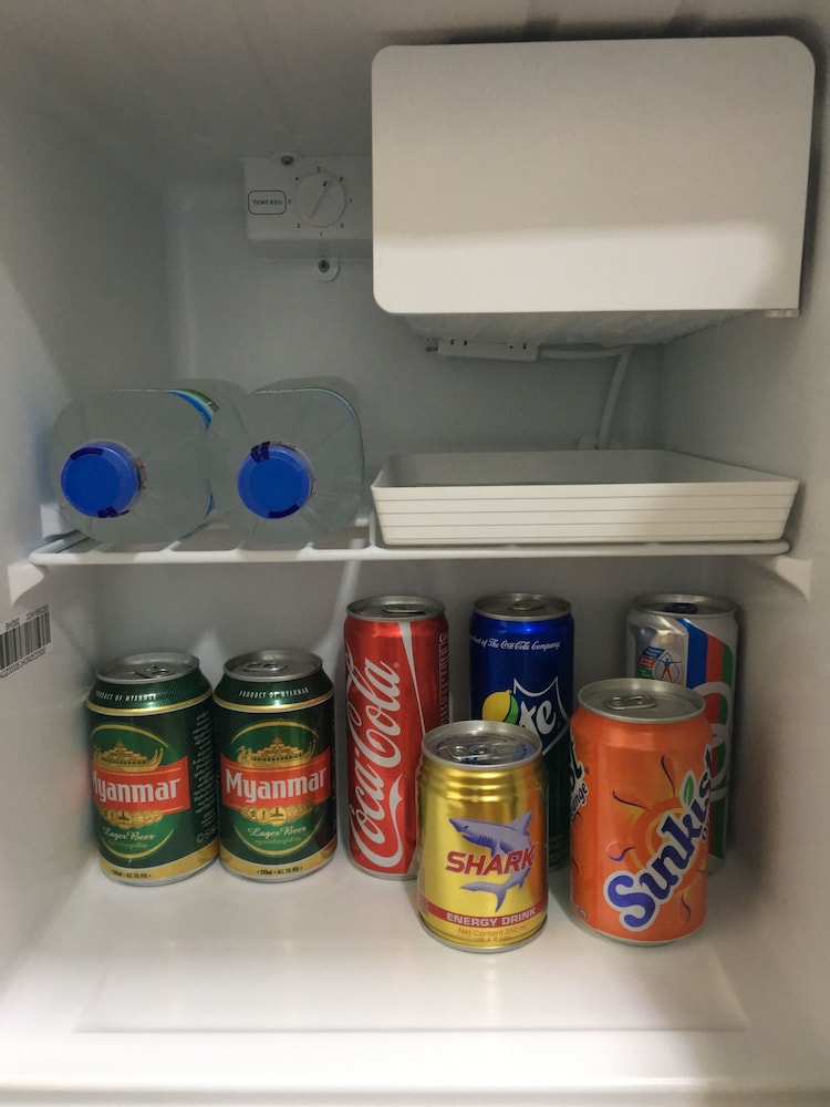 Mini-refrigerator