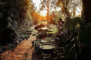 thumbnail: General view