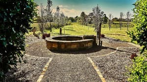 thumbnail: General view