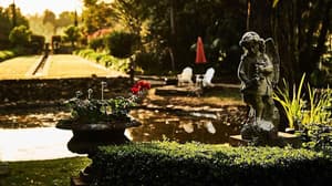 thumbnail: General view
